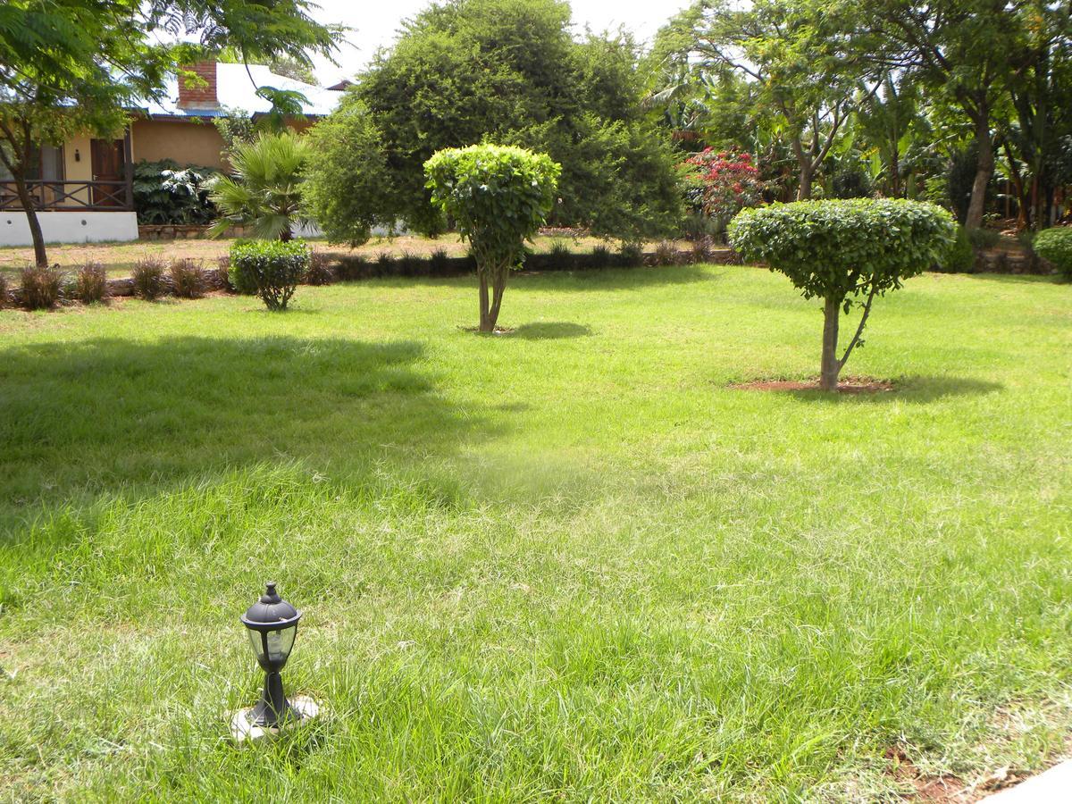 كاراتو Olea Africana Lodge المظهر الخارجي الصورة