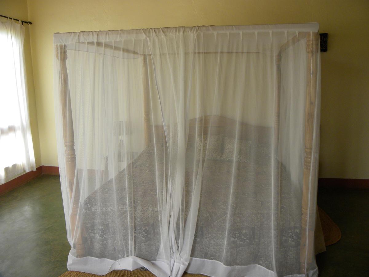 كاراتو Olea Africana Lodge المظهر الخارجي الصورة